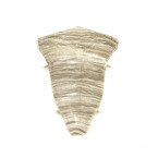 52mm Innenecke EICHE HELL 1 Stk.