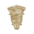 52mm Innenecke ULME KANADISCH 1 Stk.