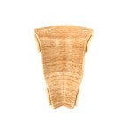 62mm Innenecke BUCHE 1 Stk.